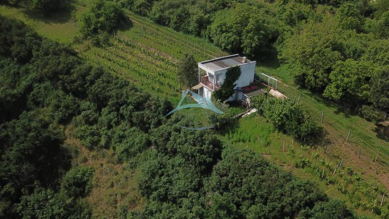 DJI_0010.JPG