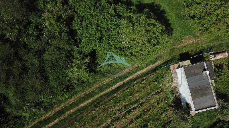 DJI_0040.JPG
