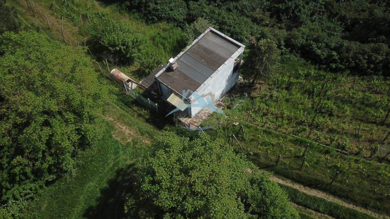 DJI_0045.JPG