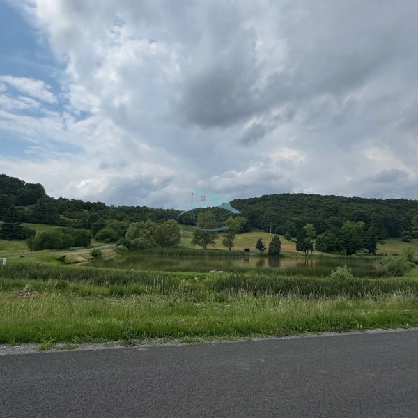 IMG_5698.jpeg