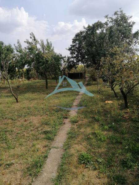 Obrázok WhatsApp 2025-07-15 o 17.32.53_7b033e2f.jpg