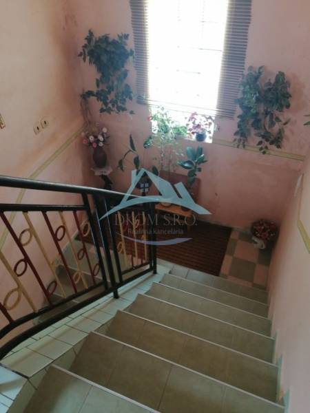 Obrázok WhatsApp 2025-07-15 o 17.32.53_b79ad53b.jpg