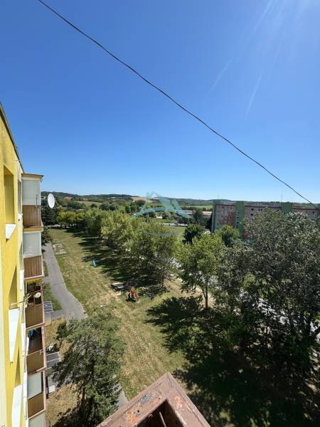 IMG_7065.jpeg