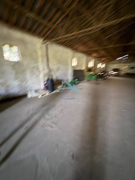 IMG_7962.jpeg