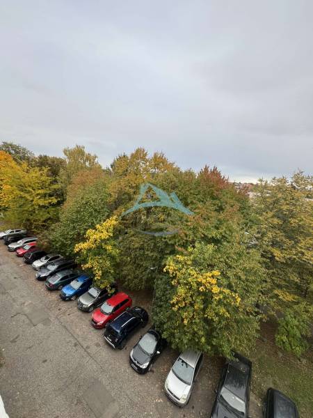 parkovisko.jpg
