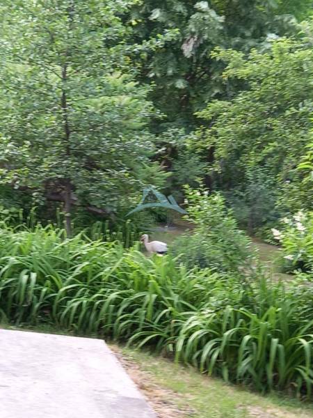 e92af87e-1fd2-44ca-9a98-72d301cc9d99.jfif