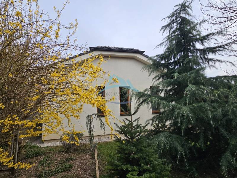 WhatsApp Image 2026-04-17 at 13.50.51.jpeg