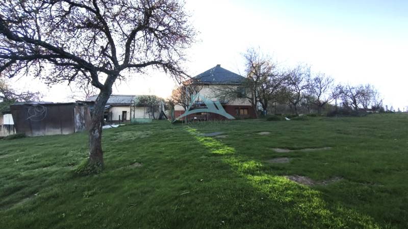 06.jpg