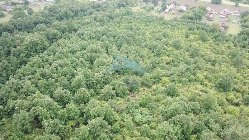 viber_image_2026-06-01_19-13-06-447.jpg