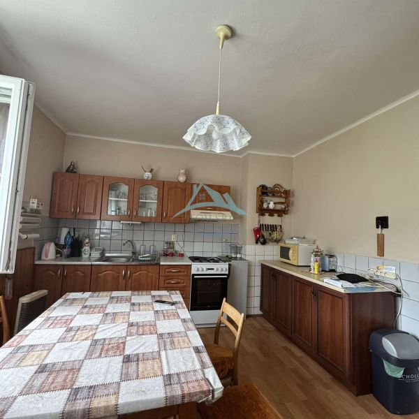 viber_image_2026-06-11_06-23-07-120.jpg