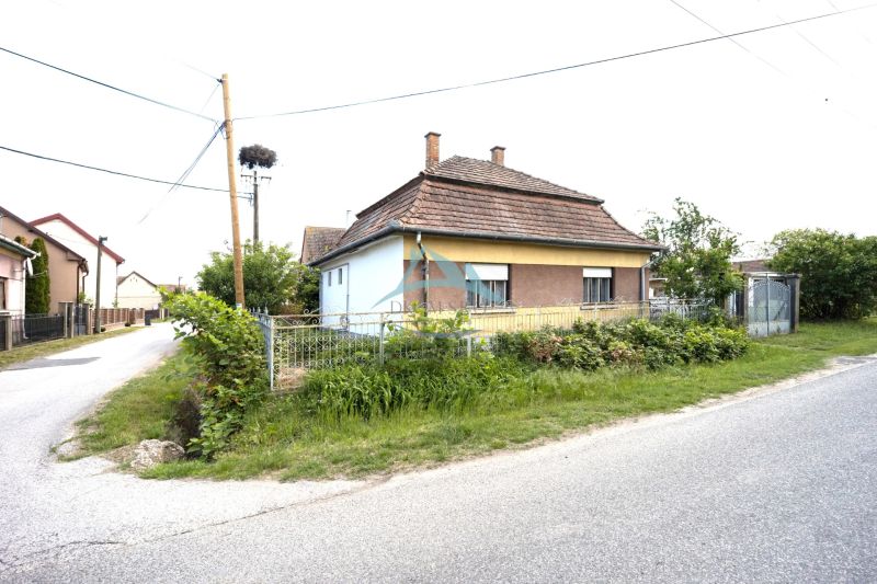 (15 of 71).jpg