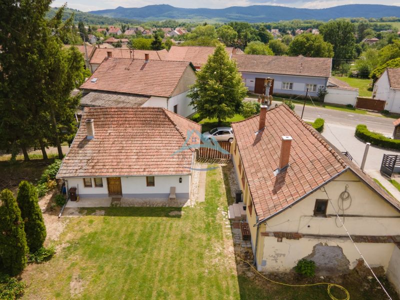 (37 of 46).jpg