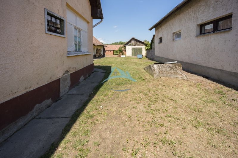 (30 of 71).jpg