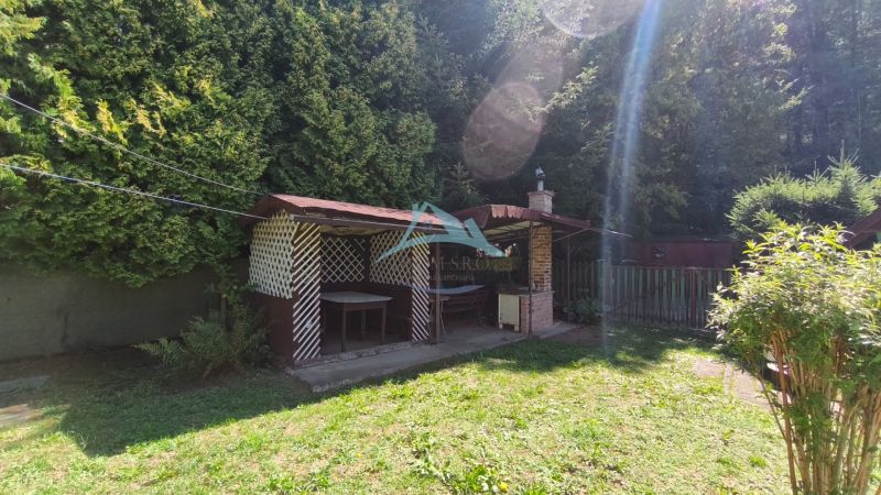 05.jpg