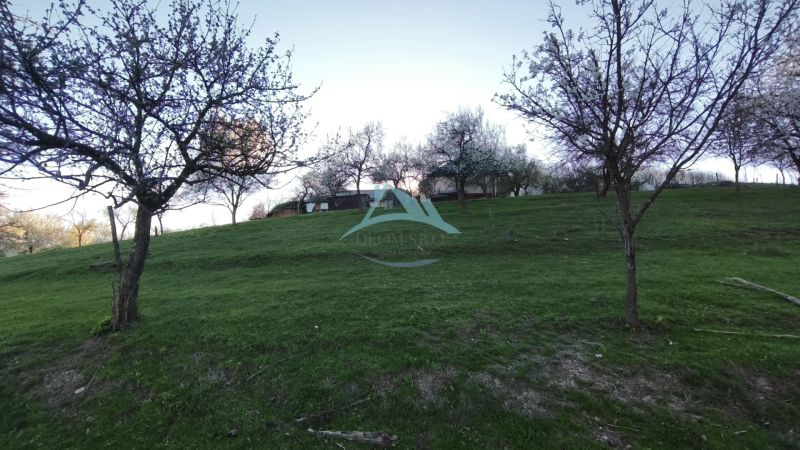 05.jpg