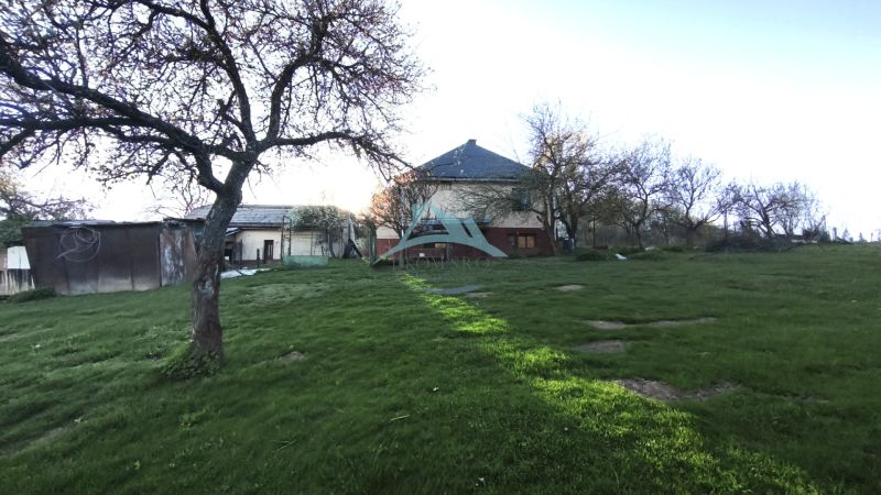 06.jpg