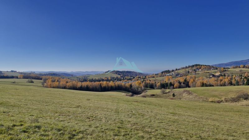 01IMG-20251113-WA0000.jpg